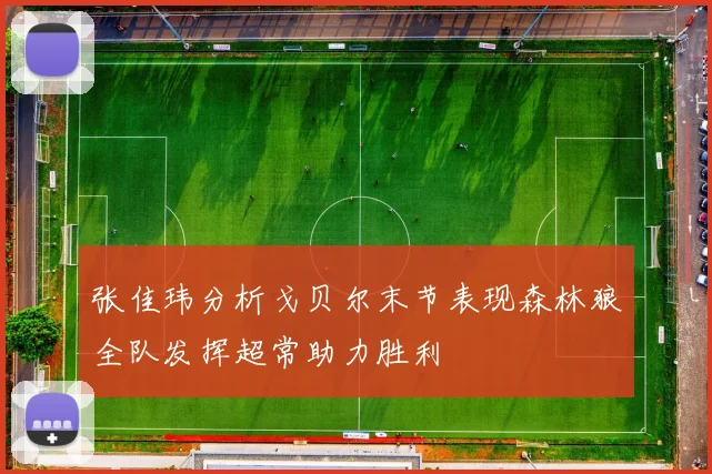 张佳玮分析戈贝尔末节表现森林狼全队发挥超常助力胜利