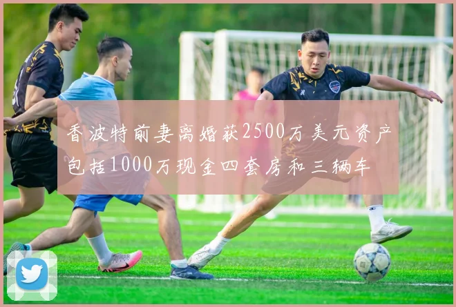 香波特前妻离婚获2500万美元资产包括1000万现金四套房和三辆车